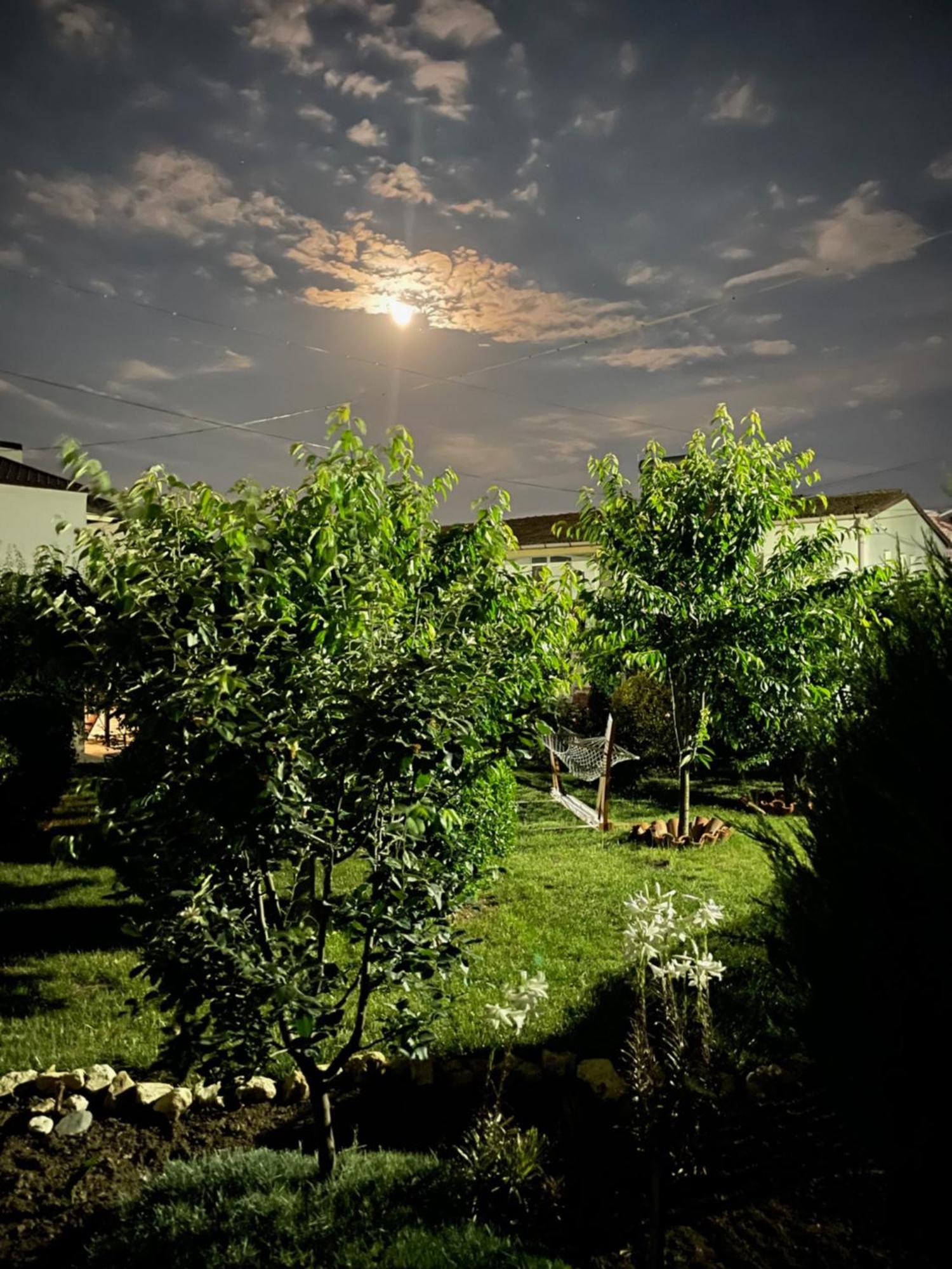 Complex Minerva Hotel Costinesti Exterior photo